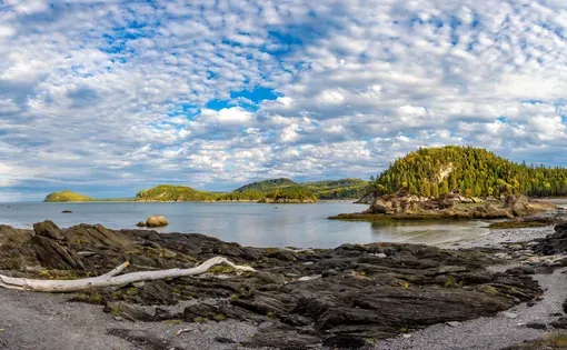 coastal marine environment