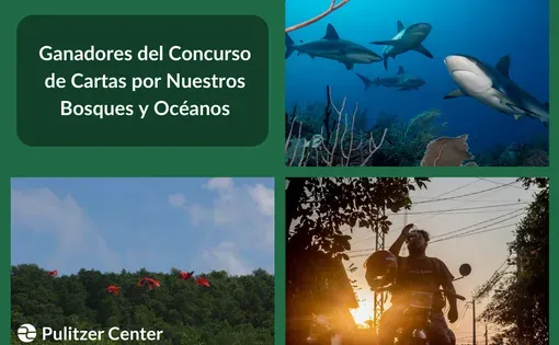 Ganadores del Concurso de Cartas por Nuestros Bosques y Océanos