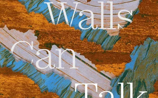 If the walls can talk poster