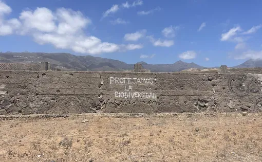 Vandalism near the Cuna del Alma construction site in Adeje, Tenerife reads "We protect biodiversity." Image by Brigid McCarthy. Spain, 2024.&nbsp;