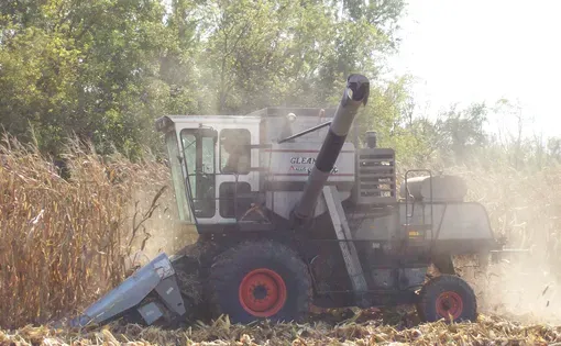 West Grove, Iowa, USA - 9/2005: Gleaner Combine in corn field. Image by Lost_in_the_Midwest/Shutterstock.