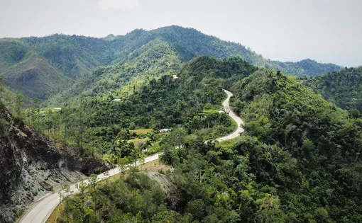 Road to Guantanamo