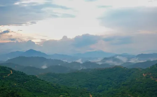Green rural scenery with plantation land in Gua Musang, Kelantan, Malaysia.