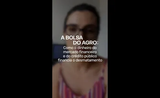 "Como o dinheiro do mercado financeiro e do crédito público financia o desmatamento" video