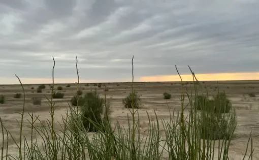 The parched bed of the Aral Sea. (Photo: Ekaterina Venkina)