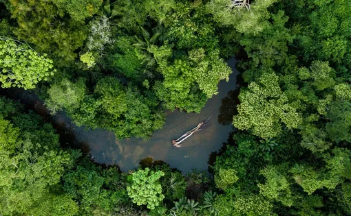 amazonperu