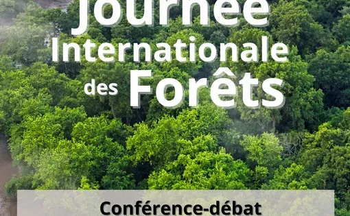 IJF2025