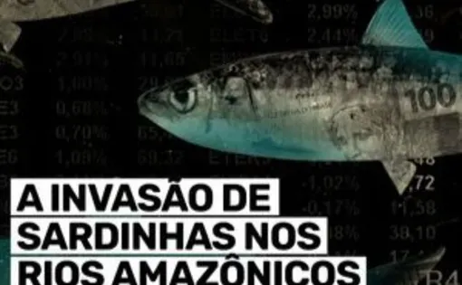Image of fish, text "A invasão de sardinhas nos rios amazônicos"