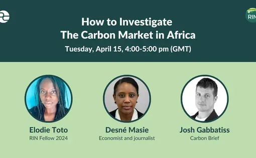 How to Investigate The Carbon Market in Africa