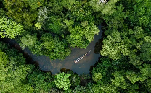 Using Hi-Tech for Environmental Investigations
