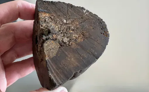 Manganese polymetallic nodule held in a hand, from deep-sea mining. Image by newsshooterguy/Shutterstock.