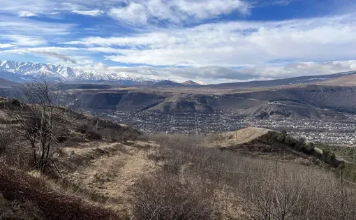Goris