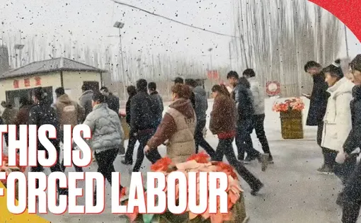 "This is forced labour" video thumbnail