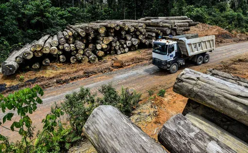 Piles of logs in the concession area of Austral Byna in Muara Teweh, Central Kalimantan.