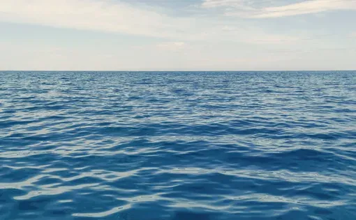 Ocean