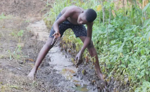 Young kid puts hand in mud