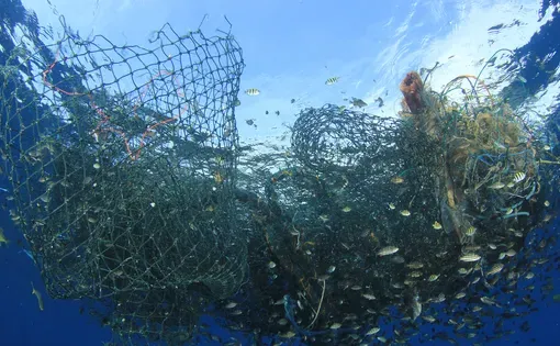 Fishing net