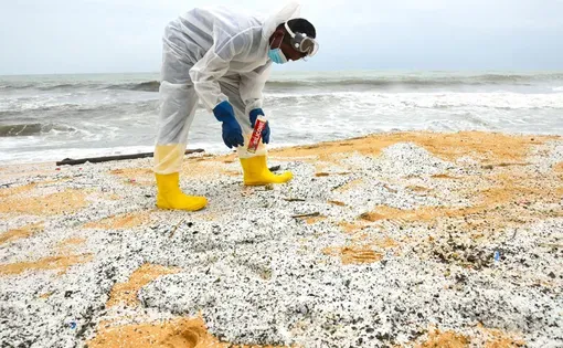 Scientist collecting samples