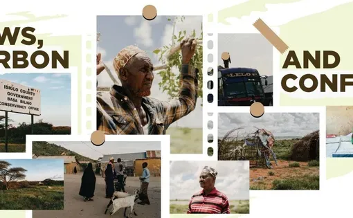 Collage of images