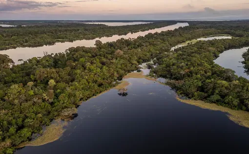 Image of the Amazon