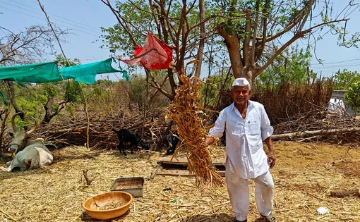 Man on a field in India
