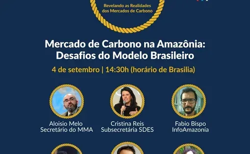 Mercado de Carbono na Amazônia: Desafios do Modelo Brasileiro
