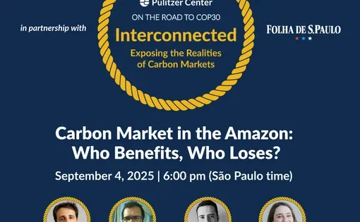Interconnected: Accountability in Carbon Markets and Climate Finance