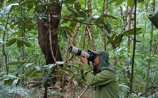 Man takes photo in the forest