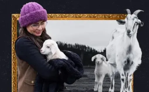 Climate Tracker goats
