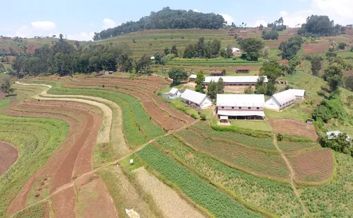 fields of farmland in DRC