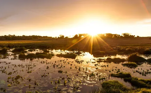 South Africa park thumbnail