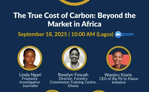 interconnected africa