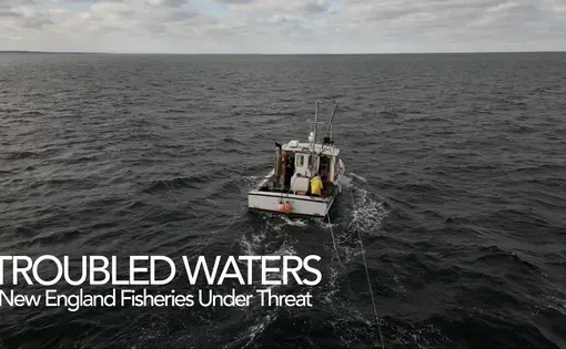 Troubled Waters