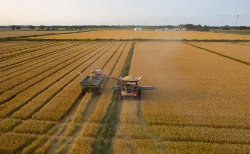 Tracker in field