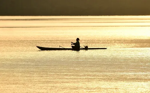 A woman goes to the sea to collect snails