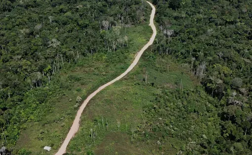 Road cuts through the forest