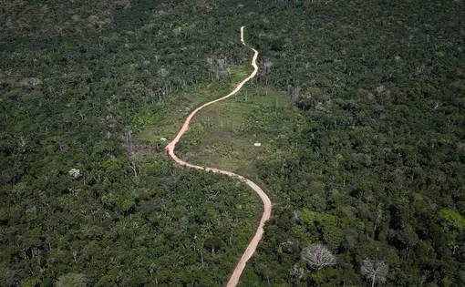 Image of the Amazon