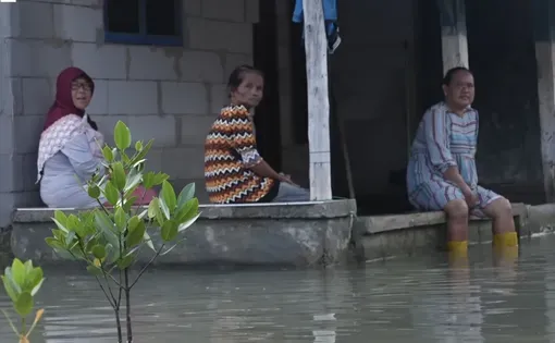 Java floods