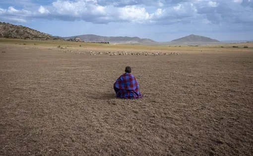 Lone person sitting in a field