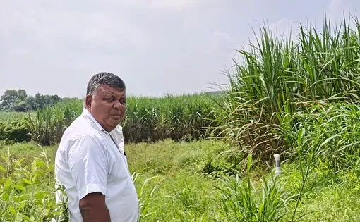 A man wearing a white shirt stands in a field