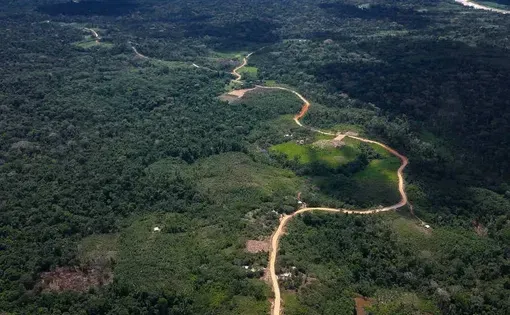 road cuts through the rainforest