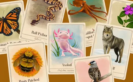 illustrations of animal species that help human health