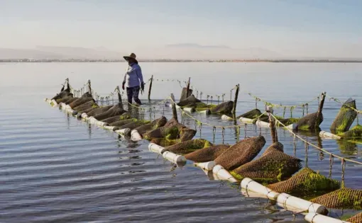 Aracely Méndez is part of Guardianas del Conchalito, a women’s cooperative dedicated to protecting the mangrove ecosystem.