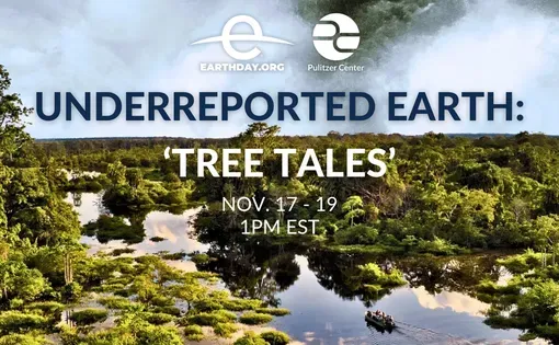 Event title over image of mangroves