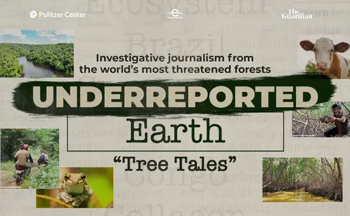 Series graphic: Underreported Earth Tree Tales