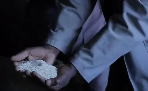 Congo rice