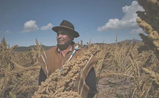 The quinoa bubble