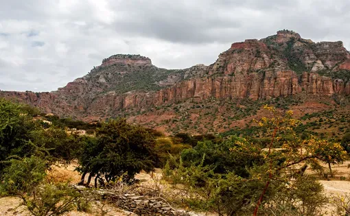 Tigray thumbnail
