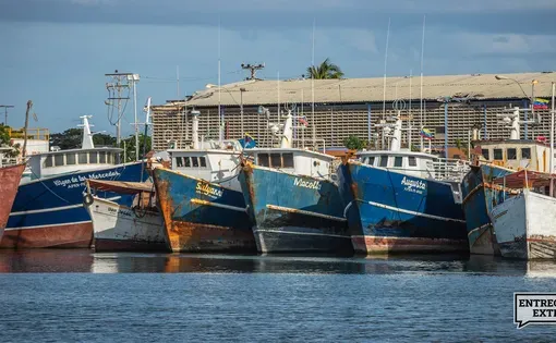 A diferencia de la pesca artesanal que tiene tiempo sin ver el tajalí, es previsible que en estos barcos de mayor calado y con más capacidad de adentrarse al mar se consiga esa especie. Imagen por Guillermo Suarez.
