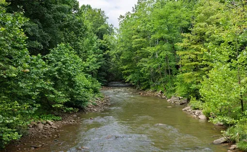The South Fork of the Cherry River in Greenbrier County is pictured on July 15, 2025.